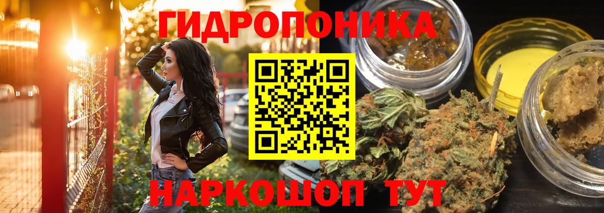 МАРИХУАНА план  Конопля Bruce Banner  Бошки Шишки Bruce Banner  Вход с VPN  Шишки марихуана ГИДРОПОН  Котовск 